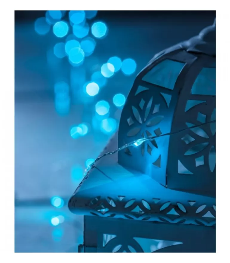 Outlet Guirlande Lumineuse Avec Changement De Couleur, 50 Diodes Led Guirlande Lumineuse Intérieure À Led
