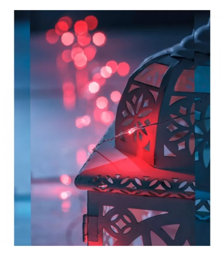 Outlet Guirlande Lumineuse Avec Changement De Couleur, 50 Diodes Led Guirlande Lumineuse Intérieure À Led