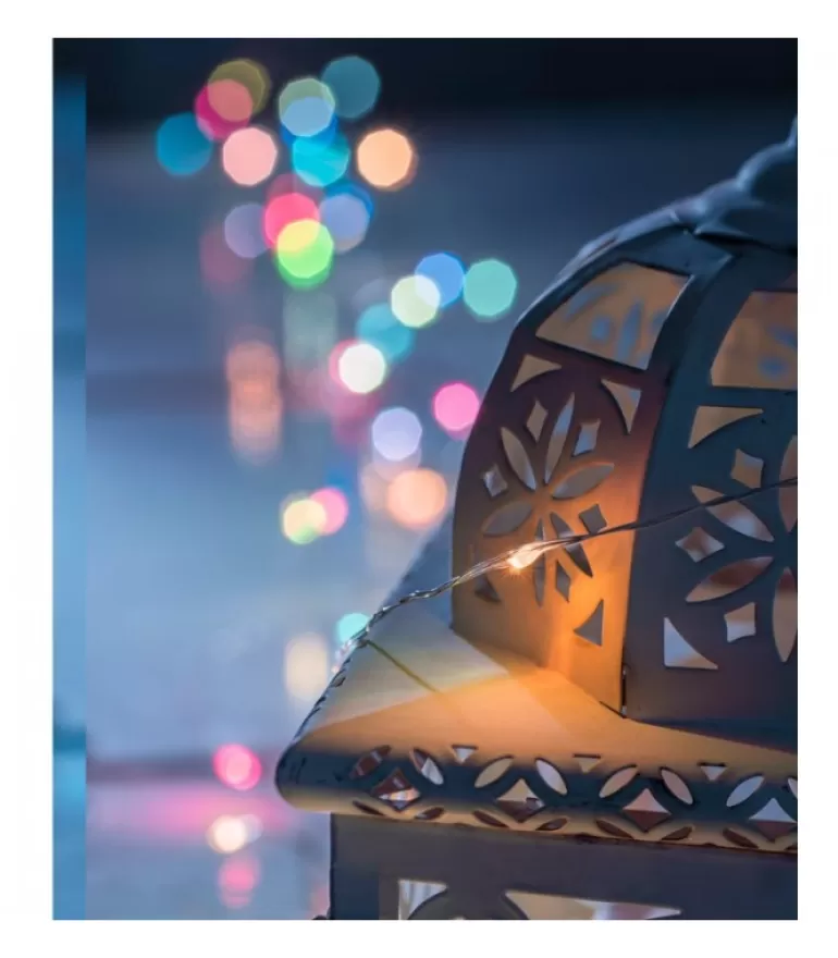 Outlet Guirlande Lumineuse Avec Changement De Couleur, 50 Diodes Led Guirlande Lumineuse Intérieure À Led