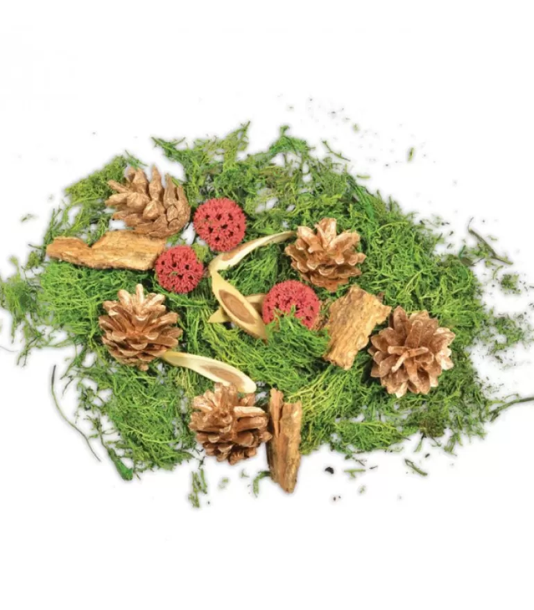 New Pot Pourri Melange Pomme De Pin, Mousse, Foret, 80 G Pot Pourri Senteurs Noël